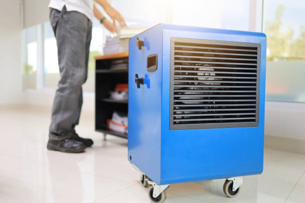 Best Dehumidification Services  in Fairbury, IL